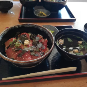 katuta-lunch